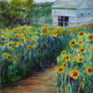 About The Path / Sunflowers for Wishes at Buttonwood Farm